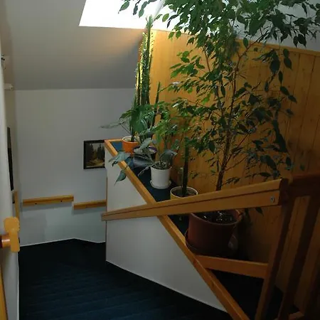 Privat Novac *