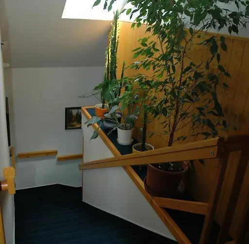 Privat Novac *